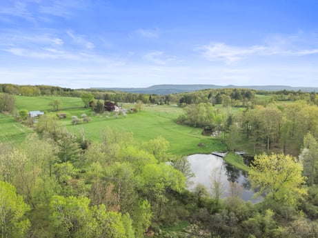 An image featuring cloud, sky, plant, tree, natural landscape, grass, grassland, plain, rural area, cumulus at 1195 Twin Cuts Rd.