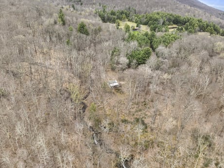 An image featuring plant, natural environment, bedrock, tree, grass, grassland, grass family, outcrop, shrub, landscape at English Hollow Ln.