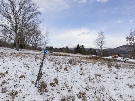 An image featuring sky, cloud, plant, snow, tree, natural landscape, land lot, wood, twig, grass at Hemlock Hill Rd.