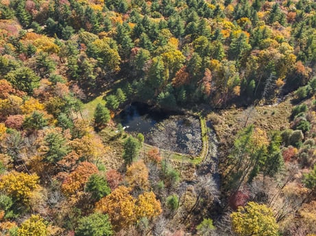 An image featuring plant, ecoregion, natural landscape, larch, tree, grass, shrub, woody plant, deciduous, groundcover at 125 Rimstone Ct.