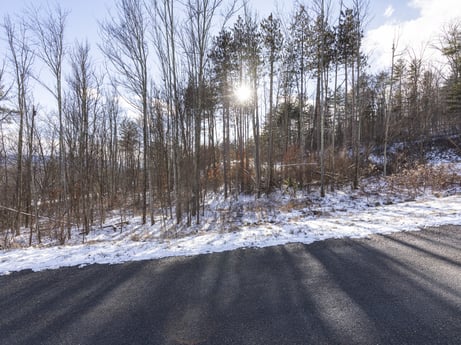 An image featuring sky, cloud, snow, plant, natural landscape, wood, asphalt, road surface, tree, thoroughfare at Hemlock Hill Rd.
