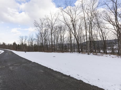 An image featuring cloud, sky, snow, natural landscape, land lot, road surface, grass, tree, asphalt, twig at Hemlock Hill Rd.