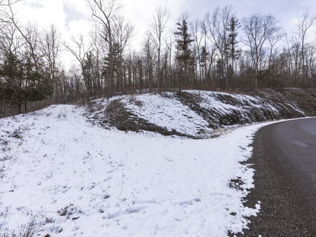 An image featuring cloud, sky, snow, plant, automotive tire, branch, natural landscape, slope, tree, freezing at Hemlock Hill Rd.