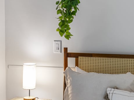 An image featuring property, furniture, plant, comfort, lighting, wood, interior design, houseplant, wall, floor at 104 Stony Mountain Rd.