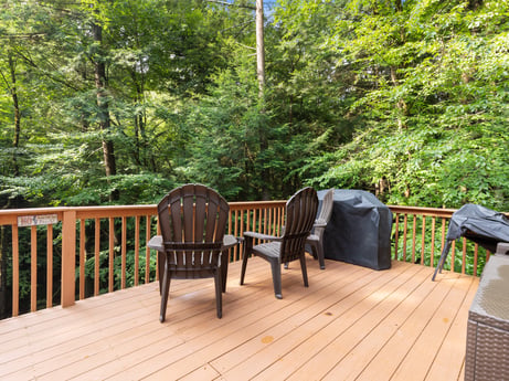 An image featuring furniture, tree, building, wood, plant, outdoor furniture, fence, wood stain, leisure, floor at 459 Pine Hill Dr.