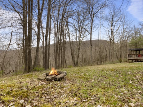 An image featuring plant, sky, plant community, ecoregion, tree, natural landscape, wood, cloud, branch, land lot at English Hollow Ln.