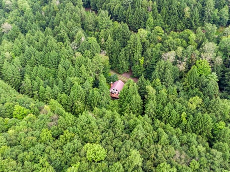 An image featuring natural landscape, plant, terrestrial plant, evergreen, groundcover, tree, landscape, shrub, grass, grassland at 459 Pine Hill Dr.