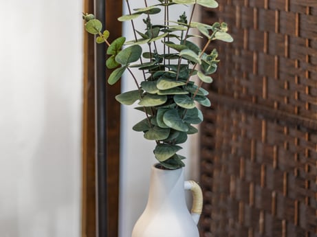 An image featuring plant, houseplant, flowerpot, vase, wood, terrestrial plant, twig, flowering plant, flower, annual plant at 104 Stony Mountain Rd.