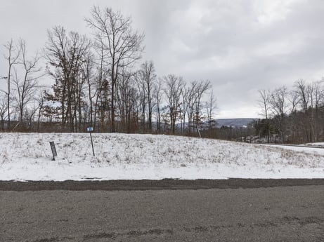 An image featuring sky, cloud, snow, natural landscape, twig, wood, tree, plant, slope, plain at Hemlock Hill Rd.