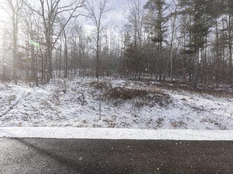 An image featuring plant, snow, sky, tree, natural landscape, wood, land lot, twig, automotive tire, road surface at Hemlock Hill Rd.
