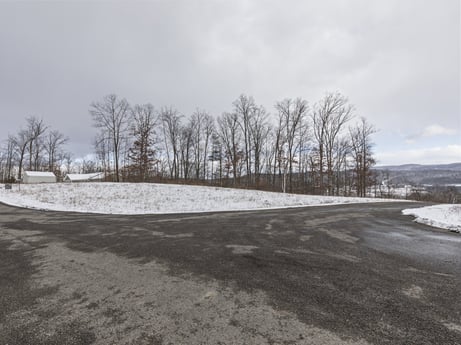 An image featuring sky, cloud, snow, plant, natural landscape, land lot, wood, tree, asphalt, road surface at Hemlock Hill Rd.