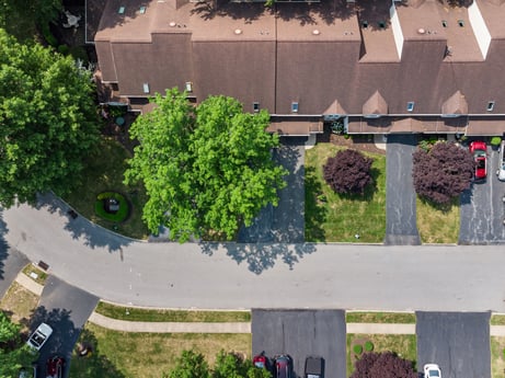 An image featuring plant, daytime, property, tree, urban design, architecture, land lot, neighbourhood, residential area, public space at 2678 Haas Ln.