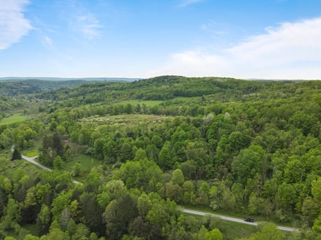 An image featuring cloud, sky, plant, natural landscape, tree, terrain, grass, landscape, mountainous landforms, cumulus at County Line Rd.