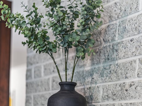 An image featuring plant, flowerpot, houseplant, leaf, wall, vase, wood, twig, tints and shades, flowering plant at 104 Stony Mountain Rd.
