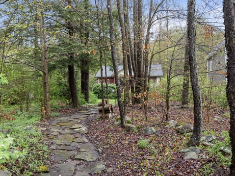 An image featuring plant, natural landscape, wood, tree, trunk, deciduous, twig, terrestrial plant, groundcover, landscape at 103 Mokoma Ave.