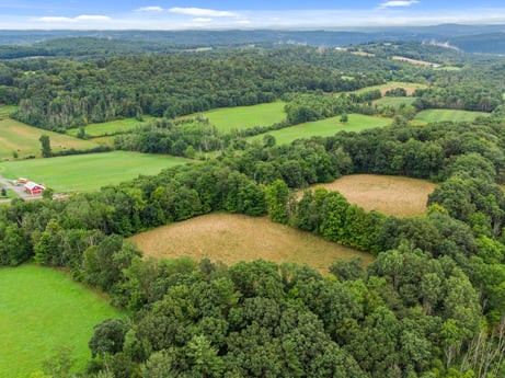 An image featuring sky, plant, ecoregion, plant community, green, cloud, natural landscape, tree, highland, land lot at 2399 Keene Summit Rd.