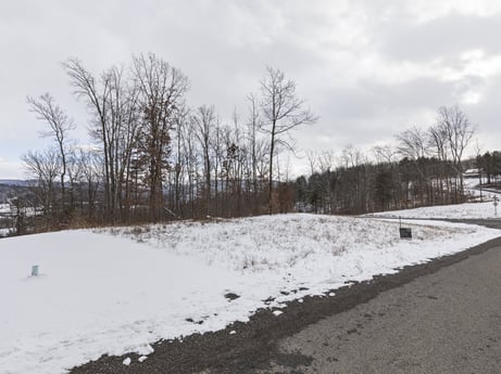 An image featuring cloud, sky, snow, plant, natural landscape, branch, land lot, wood, asphalt, tree at Hemlock Hill Rd.