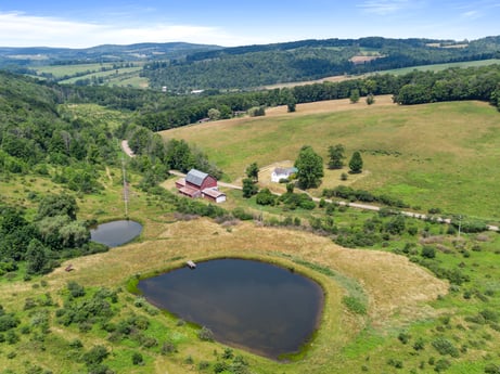 An image featuring water resources, sky, water, cloud, ecoregion, natural landscape, plant, natural environment, tree, land lot at 1863 Sopertown Rd.