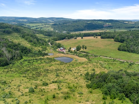 An image featuring sky, cloud, plant, mountain, natural landscape, tree, terrain, plain, grassland, grass at 1863 Sopertown Rd.