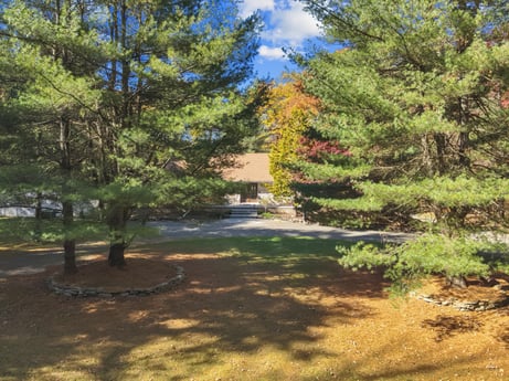 An image featuring plant, cloud, plant community, natural landscape, sky, branch, larch, tree, evergreen, grass at 125 Rimstone Ct.