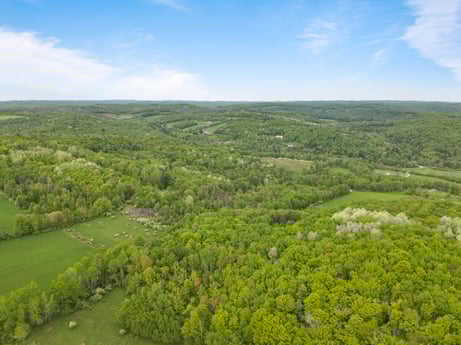 An image featuring sky, cloud, plant, plant community, natural landscape, tree, grass, plain, groundcover, grassland at County Line Rd.