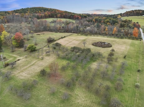 An image featuring plant, sky, cloud, natural landscape, land lot, tree, terrain, plain, grassland, grass at 17899 US-6.