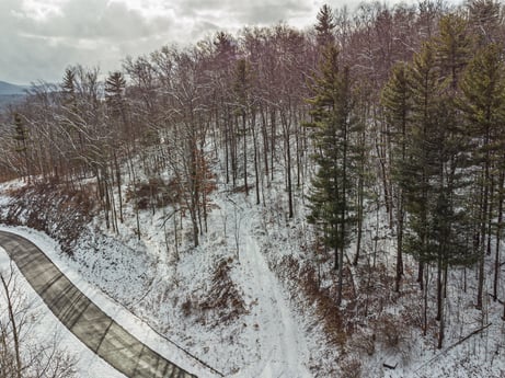 An image featuring sky, cloud, snow, plant, slope, tree, natural landscape, wood, freezing, mountainous landforms at Hemlock Hill Rd.