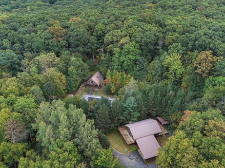 An image featuring building, plant, tree, natural landscape, land lot, house, residential area, landscape, groundcover, roof at 125 Marcy Rd.