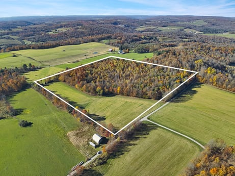An image featuring sky, ecoregion, cloud, natural landscape, highland, land lot, grass, tree, plant, slope at Moe Wilkins Rd.