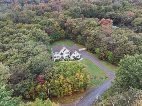 An image featuring plant, property, plant community, natural landscape, tree, land lot, grass, biome, residential area, shrub at 92 Sunrise Dr.