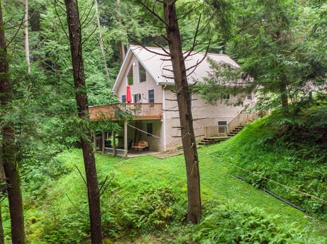 An image featuring plant, window, building, tree, natural landscape, house, land lot, wood, terrestrial plant, trunk at 459 Pine Hill Dr.