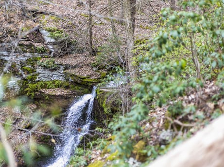 An image featuring water, plant, branch, natural landscape, vegetation, waterfall, fluvial landforms of streams, biome, grass, spring at English Hollow Ln.