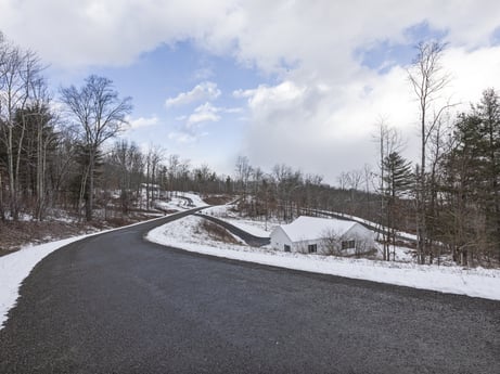 An image featuring cloud, sky, snow, natural landscape, road surface, plant, highland, asphalt, tree, slope at Hemlock Hill Rd.