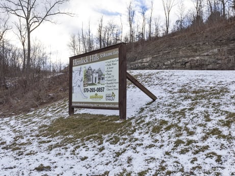 An image featuring plant, cloud, sky, snow, tree, natural landscape, land lot, wood, highland, slope at Hemlock Hill Rd.