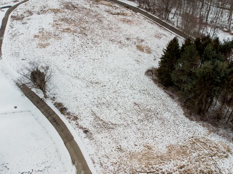 An image featuring plant, automotive tire, snow, tire, slope, road surface, car, motor vehicle, asphalt, freezing at Idle Wheels Ln.
