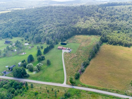 An image featuring plant, natural landscape, natural environment, vegetation, land lot, tree, urban design, landscape, slope, plain at 6583 N Rome Rd.