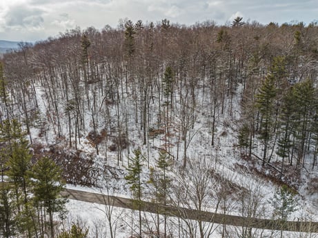 An image featuring sky, cloud, plant community, snow, plant, natural landscape, wood, twig, grass, freezing at Hemlock Hill Rd.