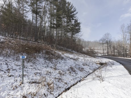 An image featuring plant, sky, snow, cloud, natural landscape, branch, tree, land lot, slope, thoroughfare at Hemlock Hill Rd.