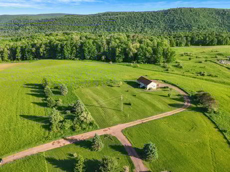 An image featuring sky, cloud, green, natural landscape, land lot, highland, plant, tree, grass, biome at 85 View Rd.