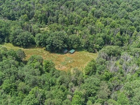 An image featuring plant, natural landscape, tree, terrestrial plant, groundcover, landscape, grassland, grass, shrub, wildlife at 154 Fox Run Rd.