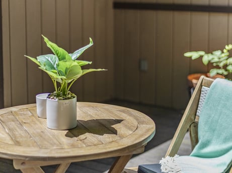 An image featuring furniture, plant, table, green, flowerpot, leaf, houseplant, wood, interior design, terrestrial plant at 104 Stony Mountain Rd.
