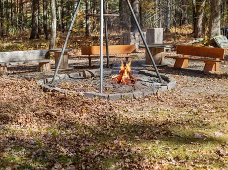 An image featuring plant, wood, branch, trunk, tree, grass, landscape, forest, groundcover, woodland at 125 Rimstone Ct.