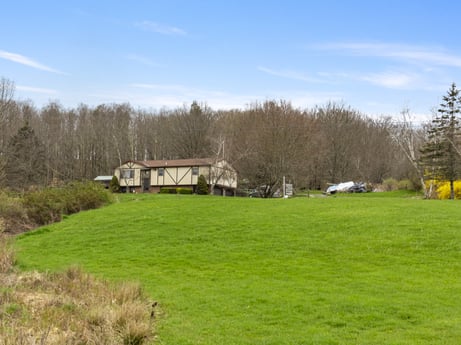 An image featuring sky, plant, cloud, natural landscape, tree, land lot, house, grass, cottage, grassland at 1569 S Macafee Rd.