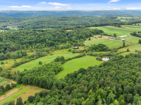 An image featuring cloud, sky, plant, ecoregion, green, natural landscape, highland, tree, land lot, vegetation at 2399 Keene Summit Rd.