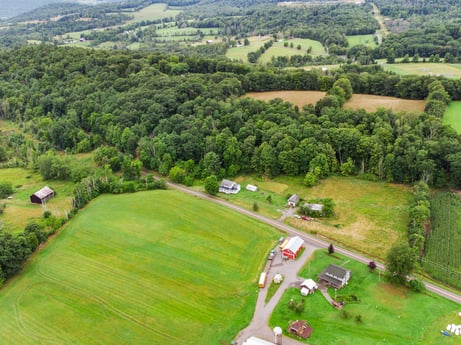 An image featuring plant, ecoregion, green, nature, natural landscape, natural environment, tree, land lot, vegetation, highland at 2399 Keene Summit Rd.