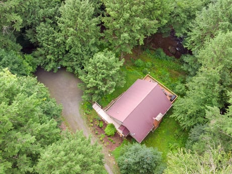 An image featuring plant, plant community, natural landscape, tree, grass, shrub, groundcover, landscape, wood, motor vehicle at 459 Pine Hill Dr.