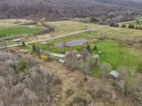 An image featuring plant, ecoregion, tree, natural landscape, land lot, highland, grass, plain, grassland, landscape at 1569 S Macafee Rd.