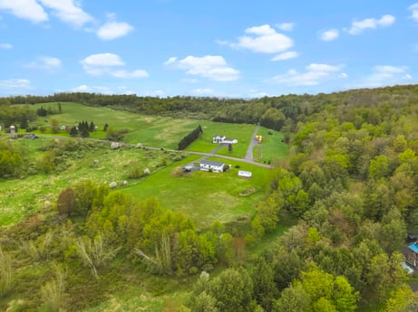 An image featuring cloud, plant, sky, tree, natural landscape, terrain, grassland, plain, cumulus, grass at 993 Dieffenbach Rd.