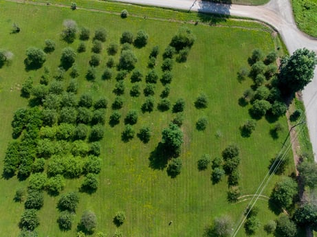 An image featuring plant, natural environment, land lot, tree, vegetation, grass, urban design, biome, natural landscape, grassland at 17899 US-6.