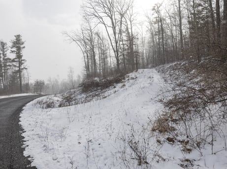 An image featuring plant, sky, snow, natural landscape, branch, wood, slope, tree, freezing, twig at Hemlock Hill Rd.
